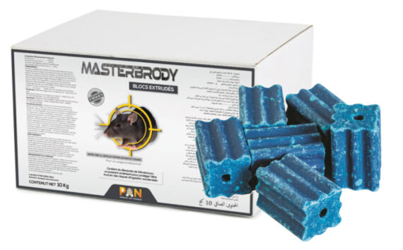 MASTERBRODY BLOC (Copy)