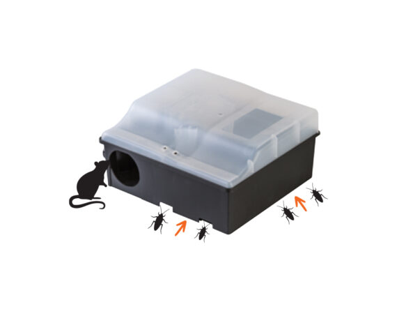 FUSION BOX TRANSPARENT