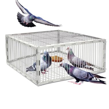 BIRD GUARD PRO X (Copy)