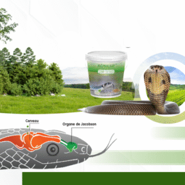 Solution anti-insectes rampants